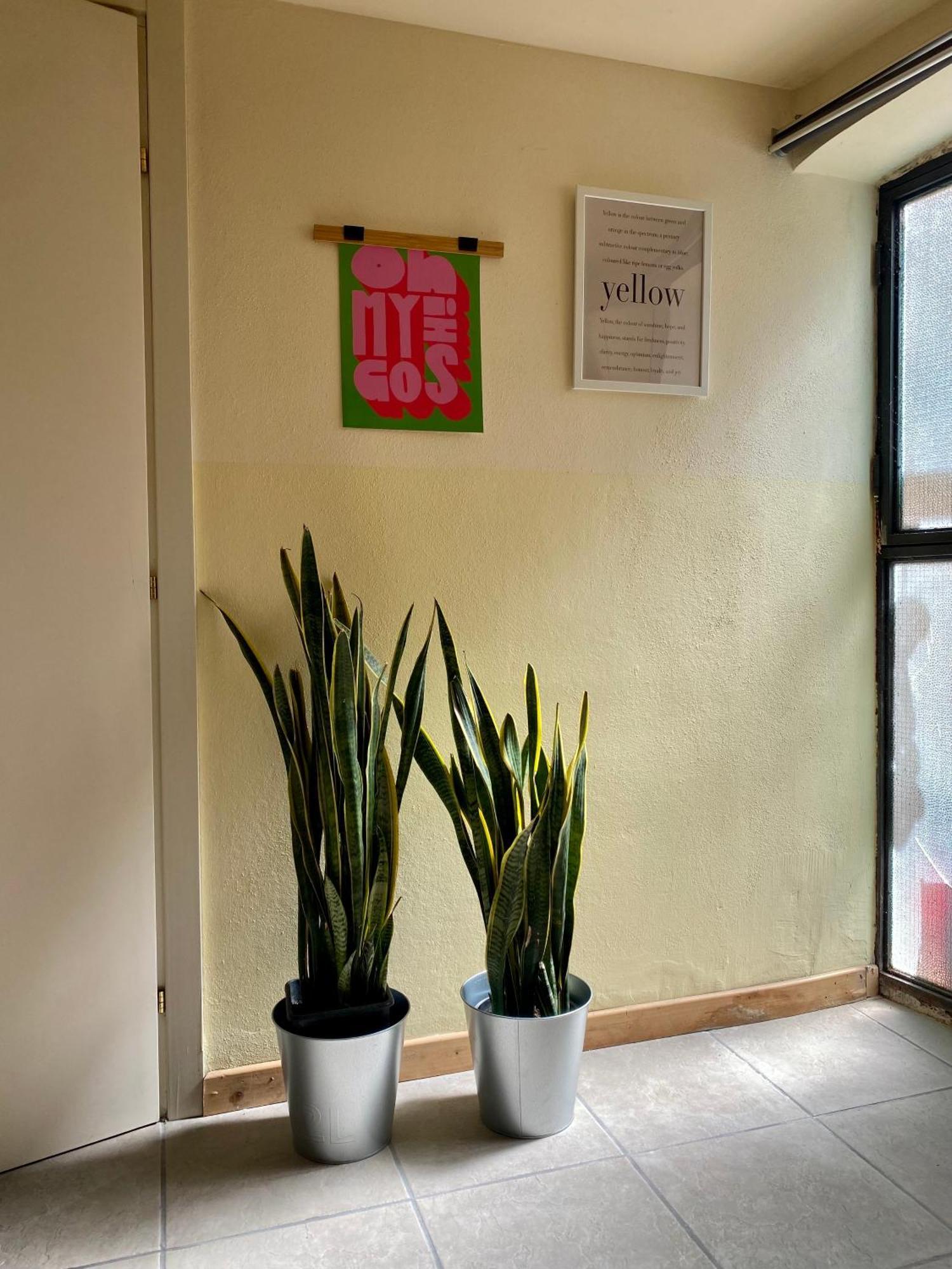 Krea Apartments! Appartamento Catania
